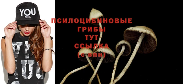 бутират Баксан