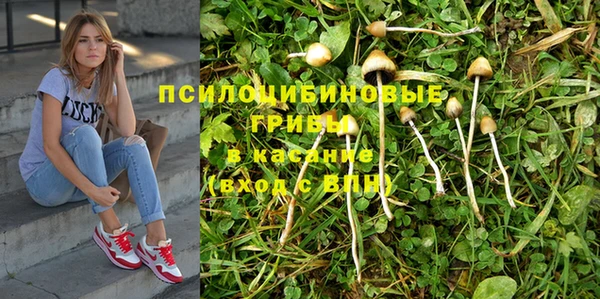 бутират Баксан